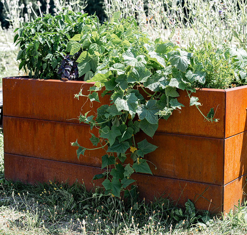 MPH Leistungen Metalltechnik Corten-Hochbeet